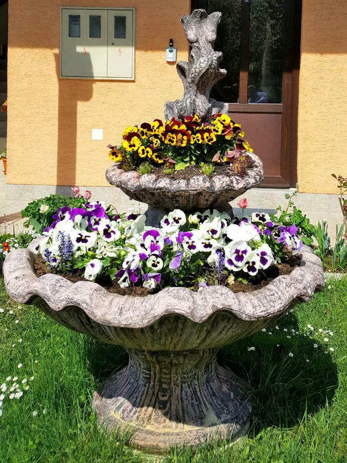 Guesthouse Ana&Ljubo Растовача Экстерьер фото